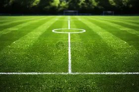 阿德萊德聯,中场球员澳,超賽事中受,世界杯预测,2026世界杯,赛果分析,胜负趋势,足球赛事